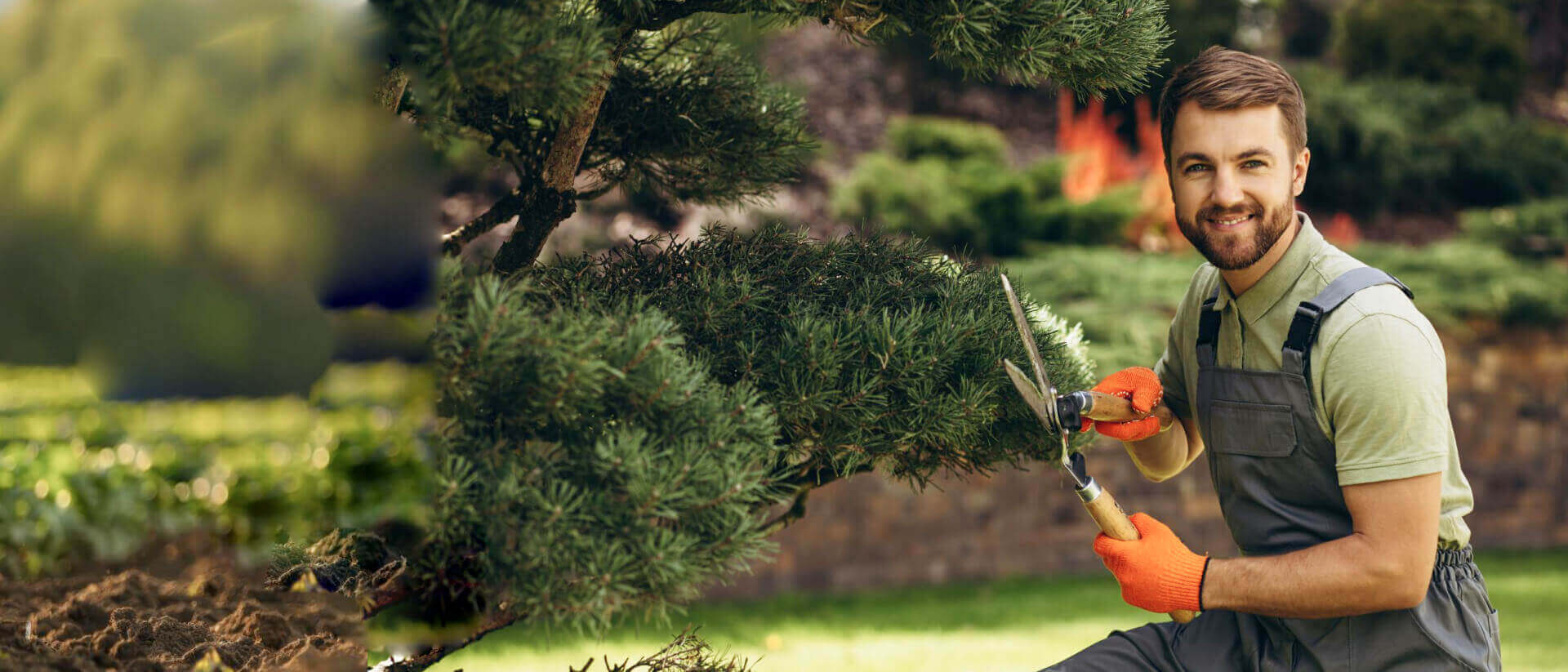 Bahçe Tasarımına Özel Referans