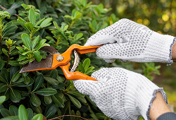 Demo Hizmet Başlığı 3