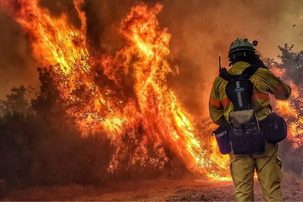 Sprinkler Sistemi Tasarım ve Kurulum